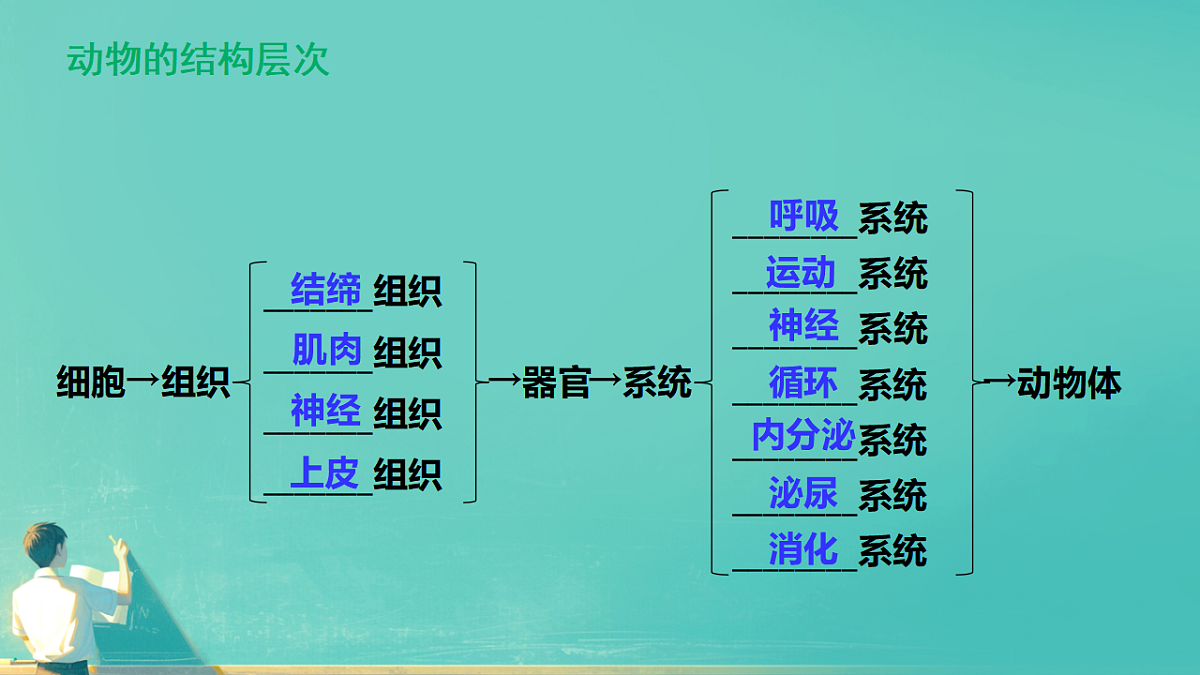 17729147第8页