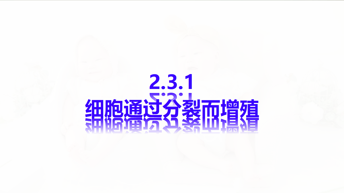 17729171第1页