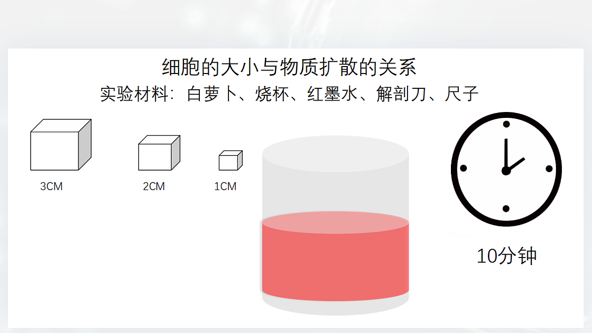 17729171第4页
