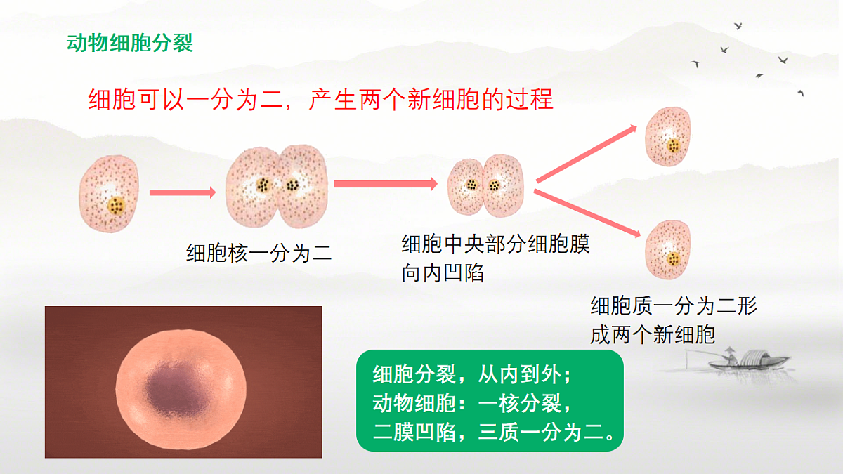 17729171第6页