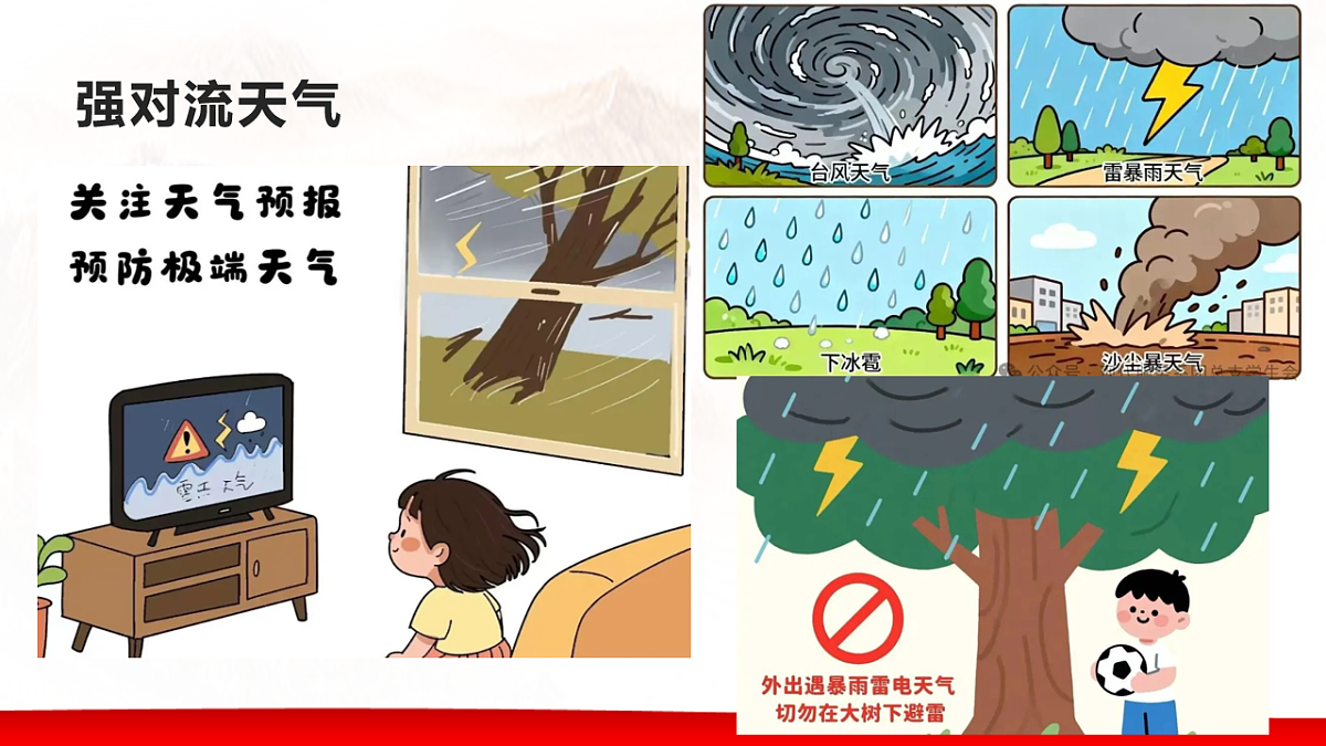 17729180第3页