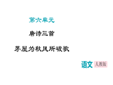 统编版八年级下册语文课件：第六单元24唐诗三首-茅屋为秋风所破歌