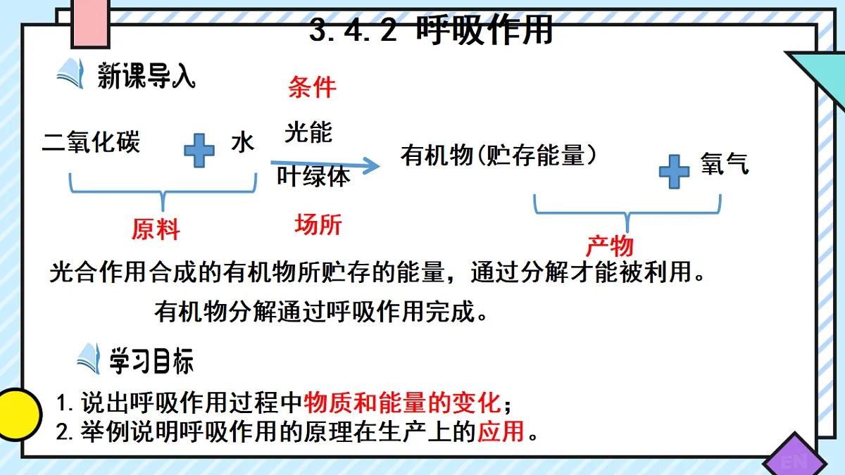 17729379第2页