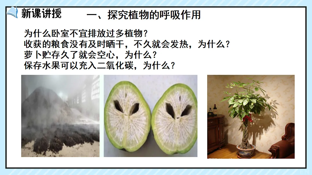 17729379第3页