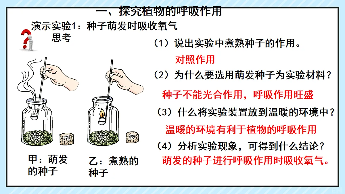 17729379第4页