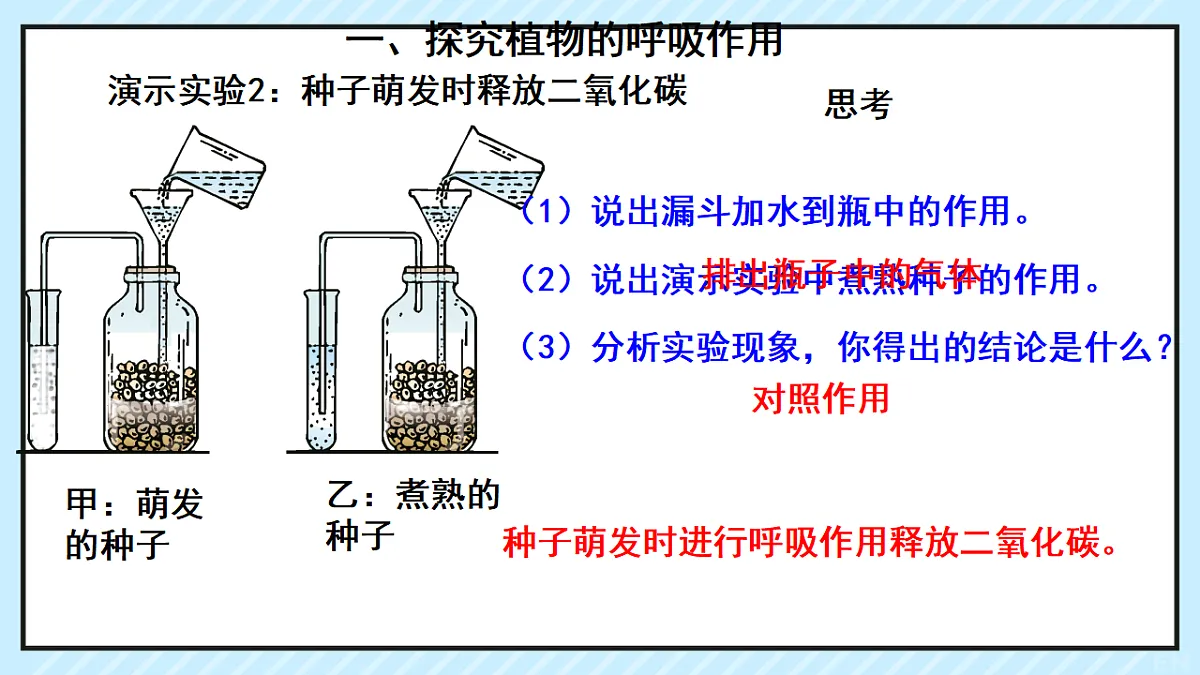 17729379第5页
