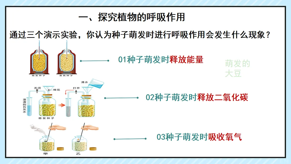 17729379第7页