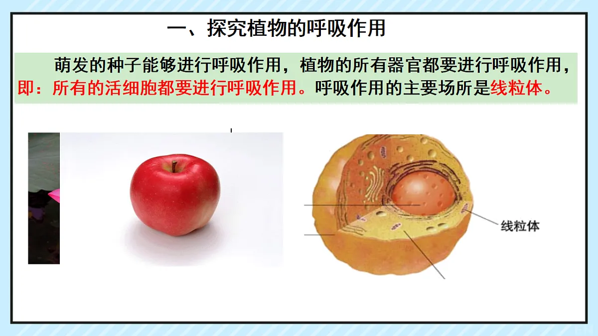 17729379第8页