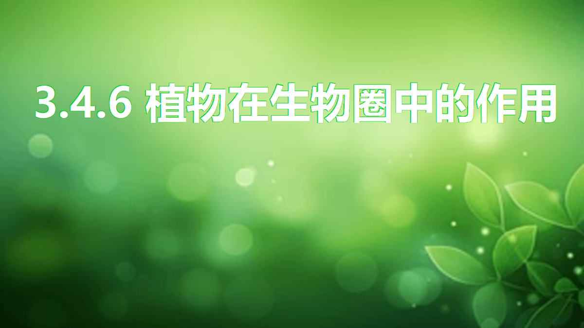 17729541第1页