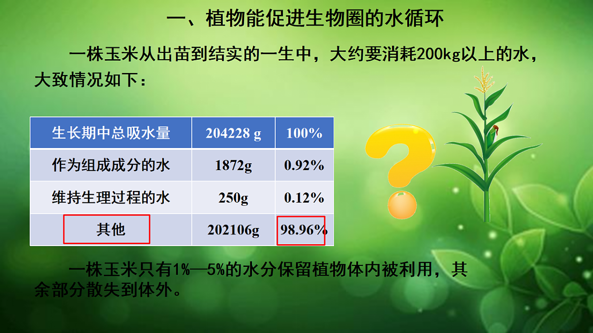 17729541第2页