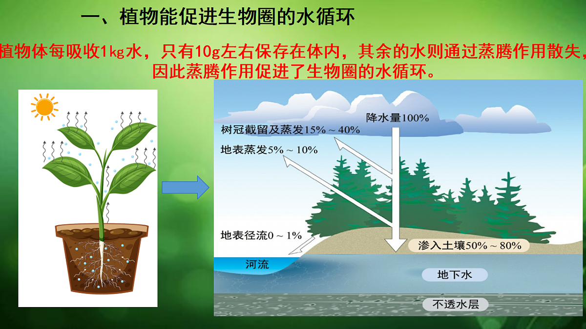 17729541第3页