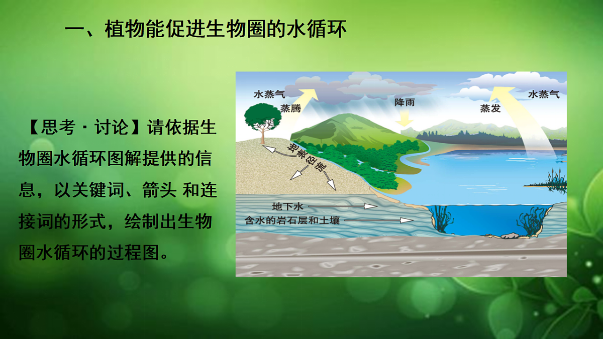 17729541第4页