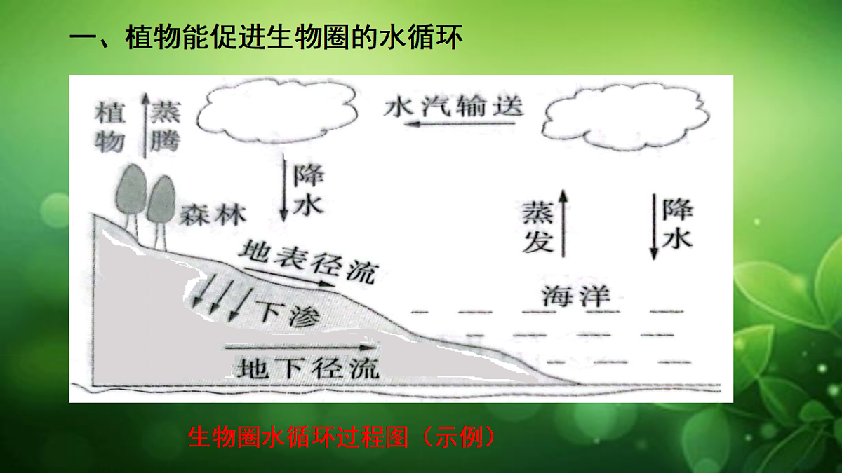 17729541第5页