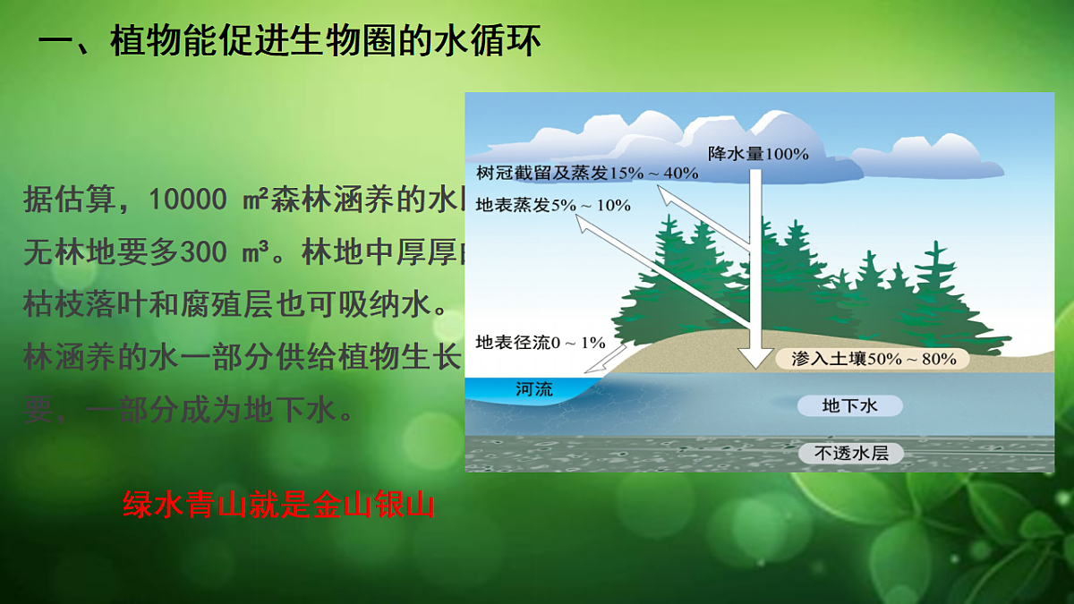 17729541第6页