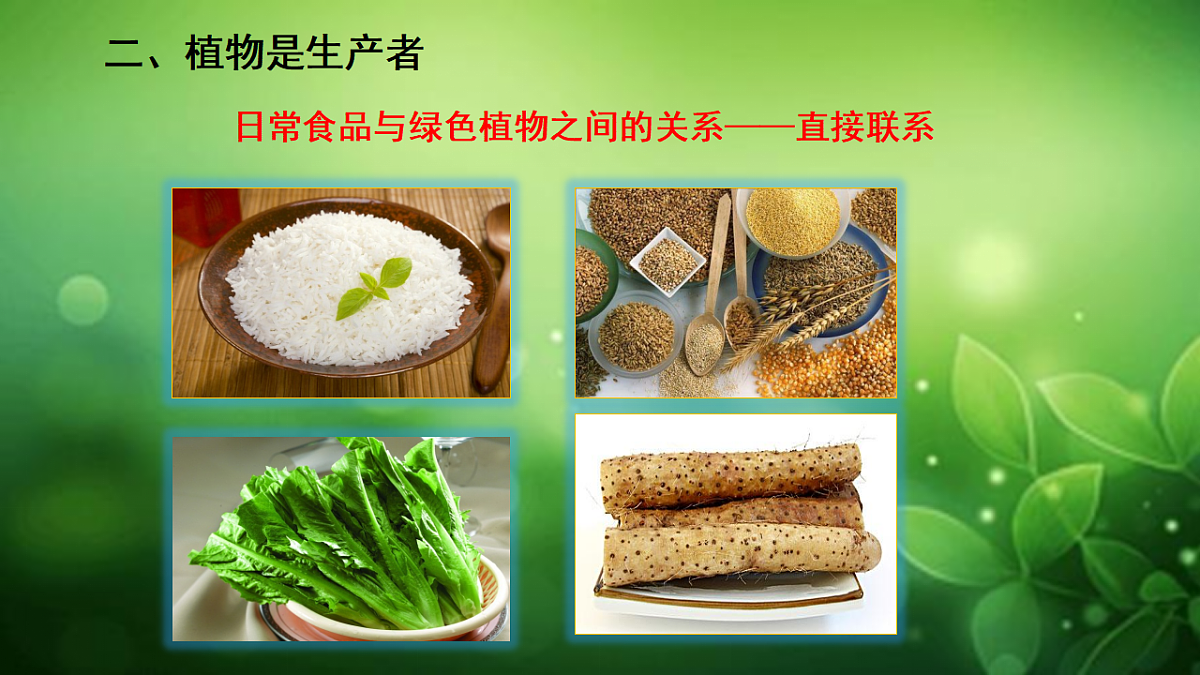 17729541第8页
