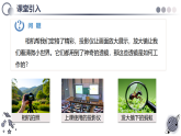 第二节   生活中的透镜 （教学课件）初中物理人教版（2024）八年级上册 第五章 透镜及其应用