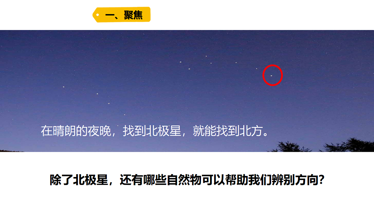17730845第2页