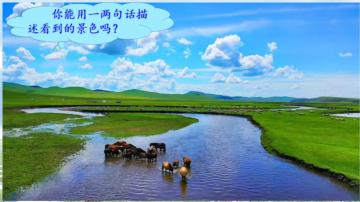 17731277第1页