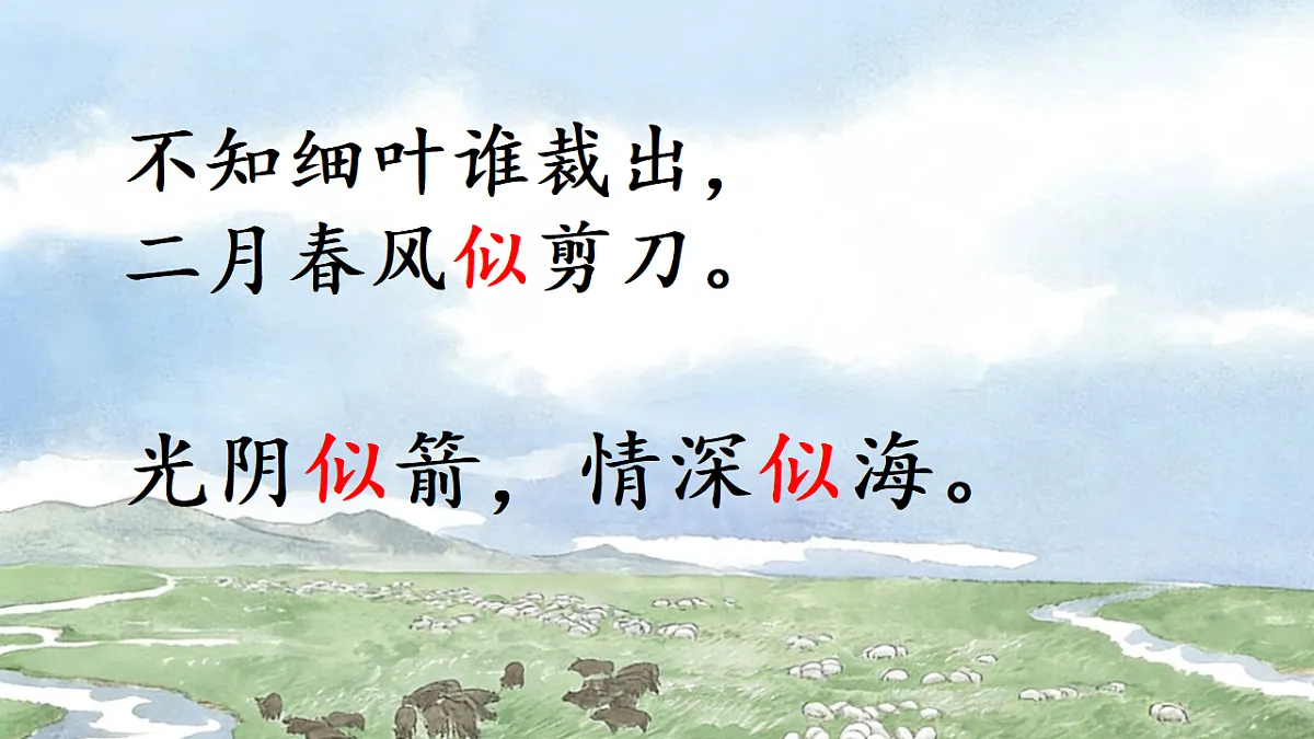 17731277第8页