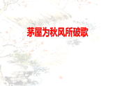 统编版八年级下册语文课件：：第六单元24唐诗三首-茅屋为秋风所破歌