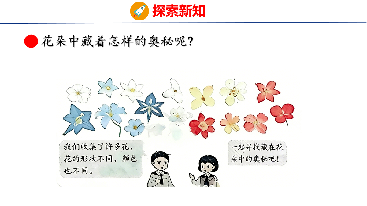 17731354第4页