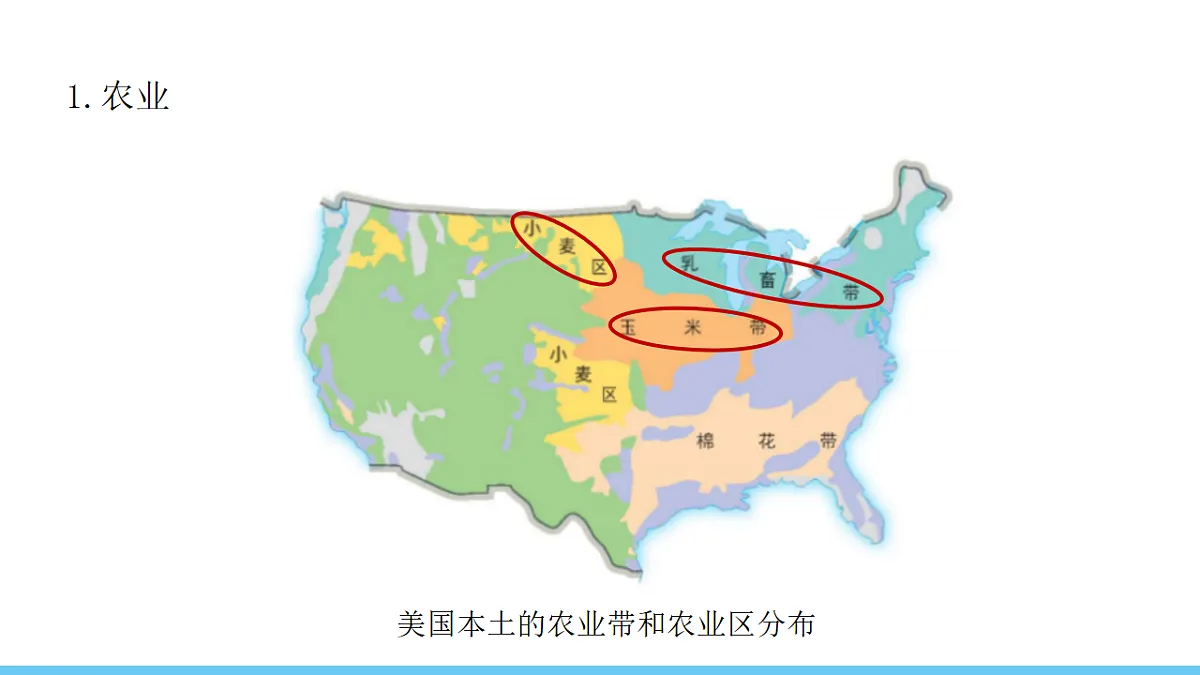 17731865第6页