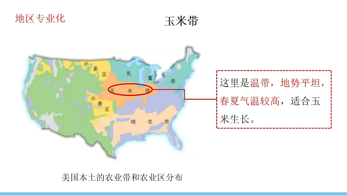 17731865第8页