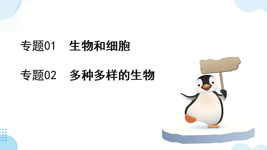 17732935第2页