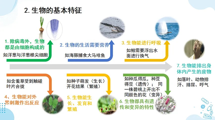 17732935第5页