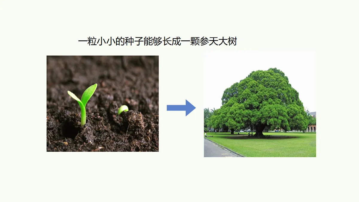 17732936第2页