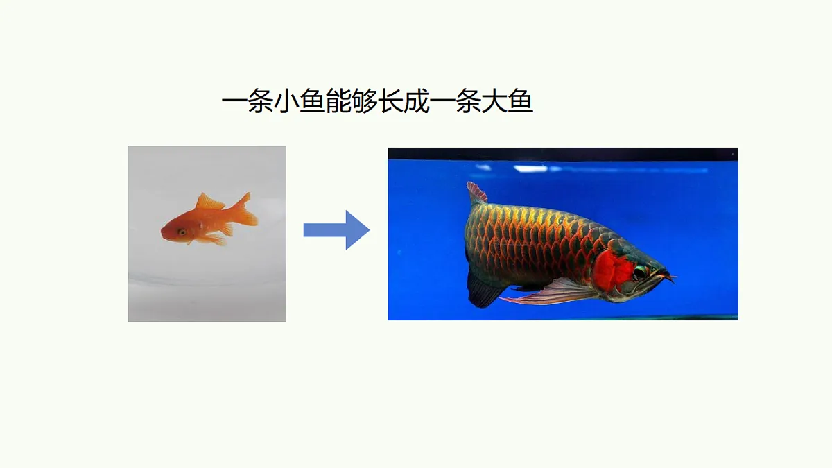 17732936第3页