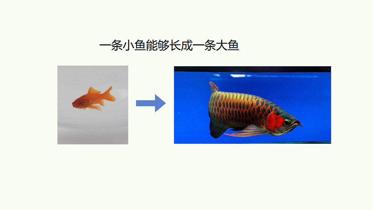17732936第3页