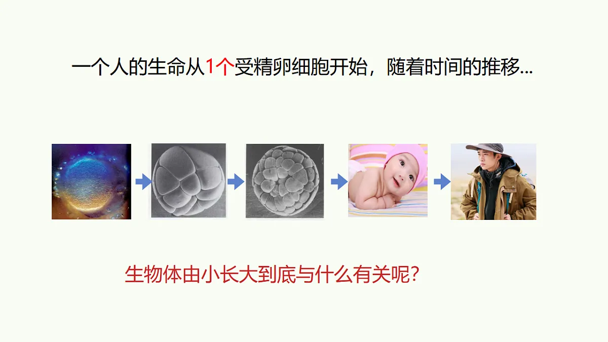 17732936第4页
