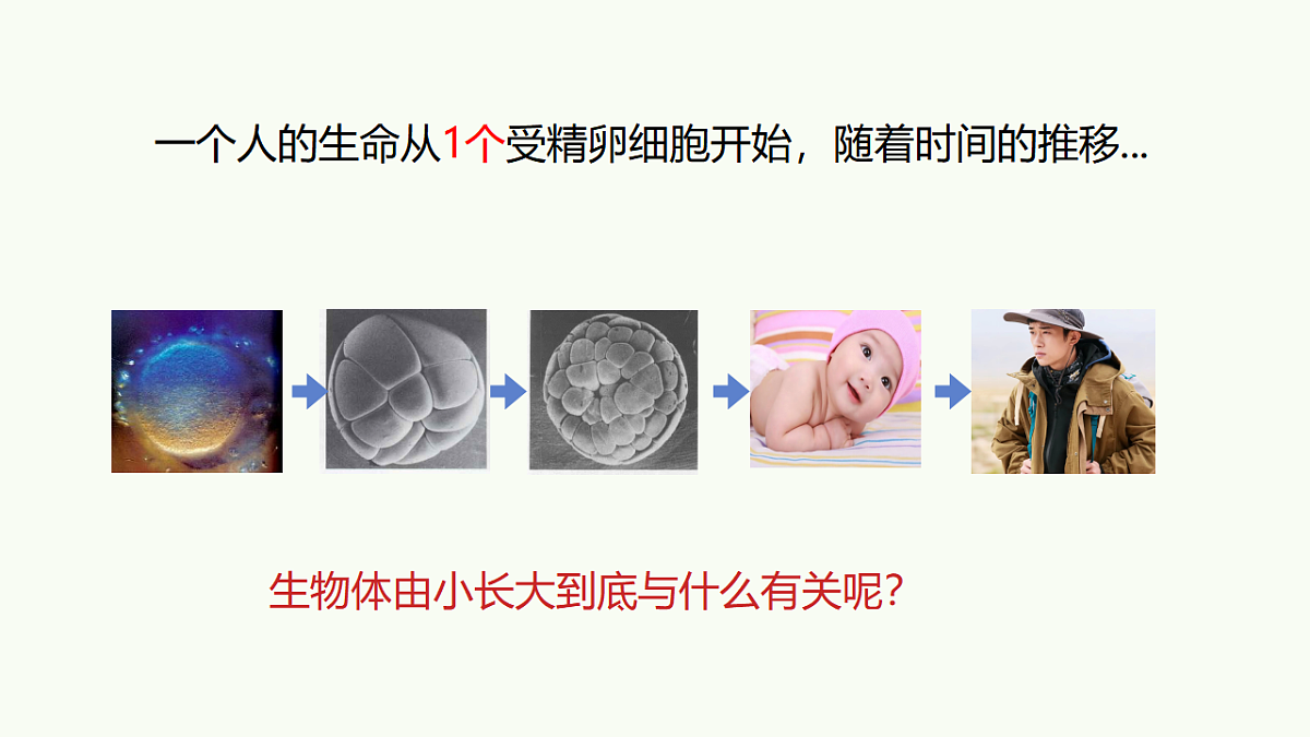 17732936第4页