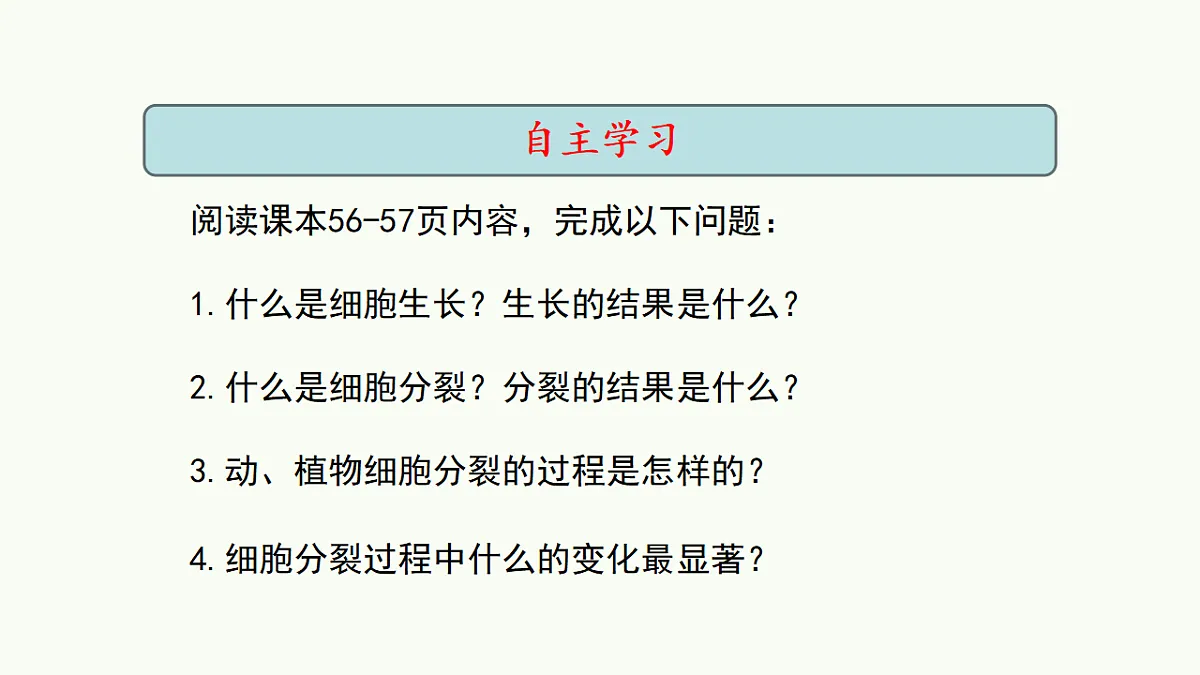 17732936第5页