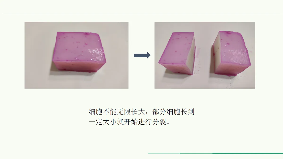 17732936第6页