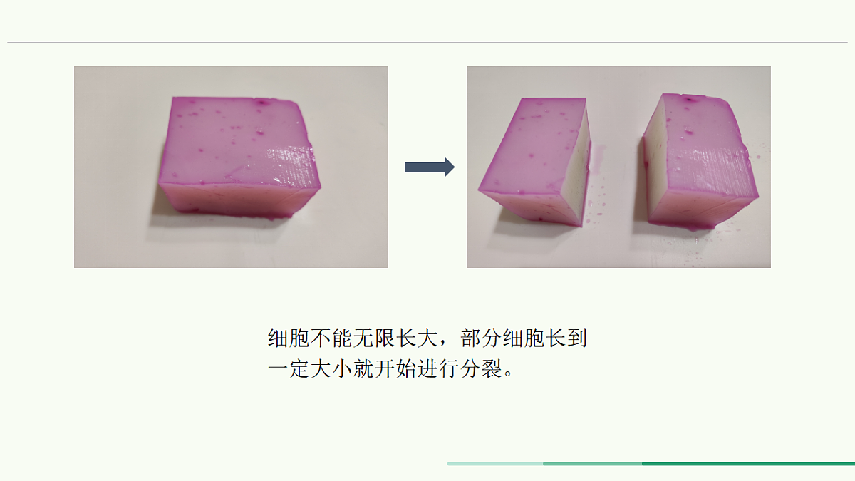 17732936第6页