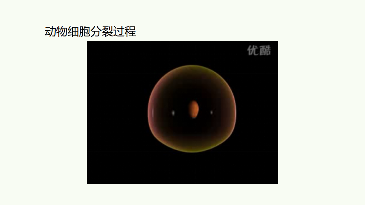 17732936第7页