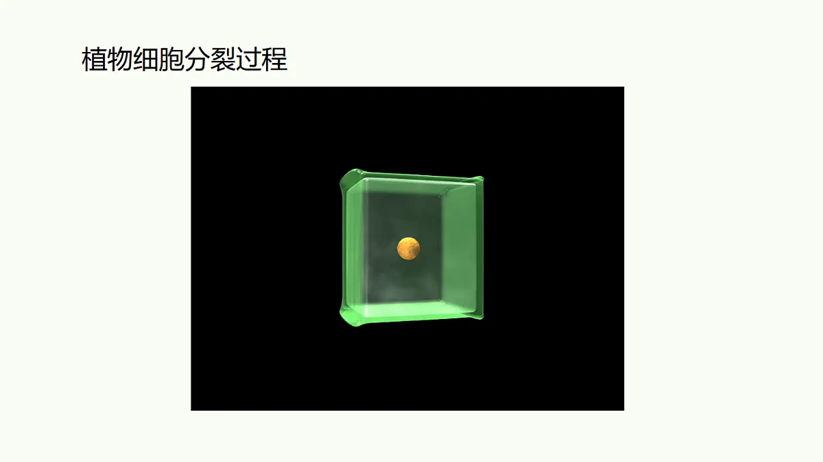 17732936第8页