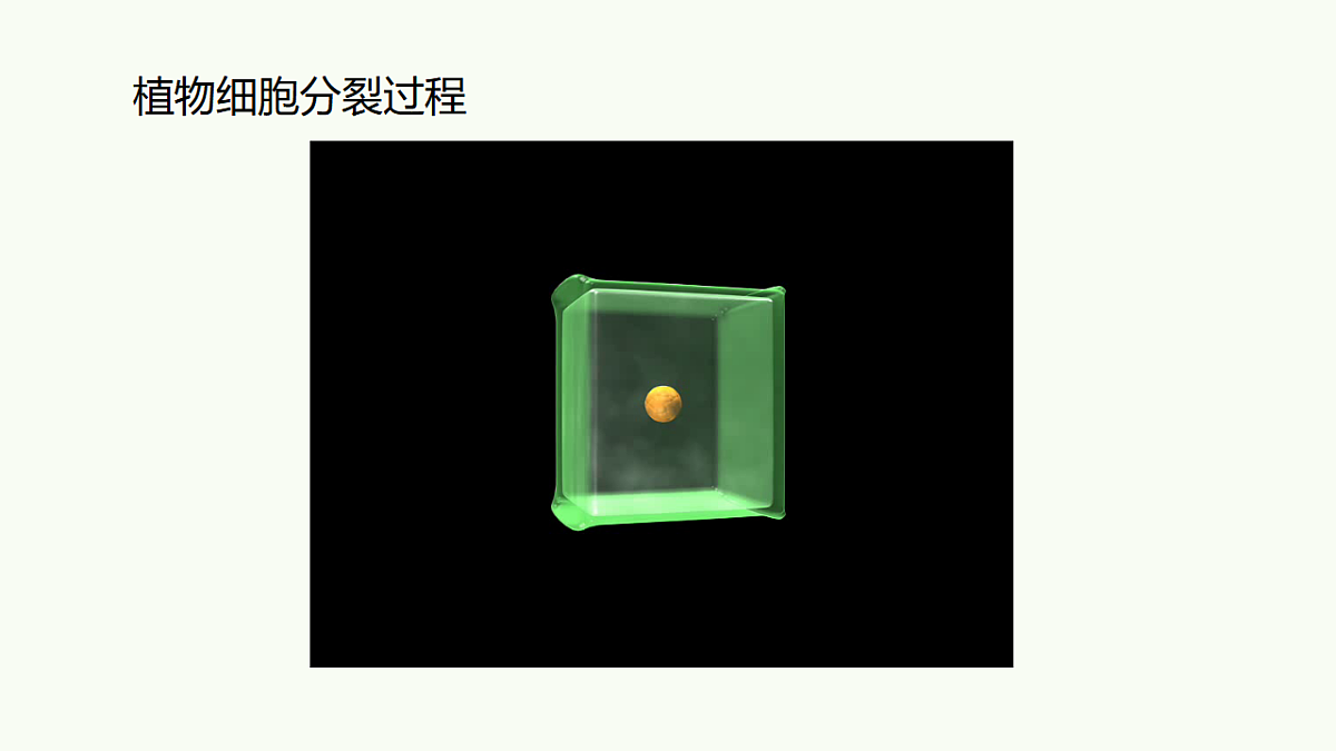 17732936第8页