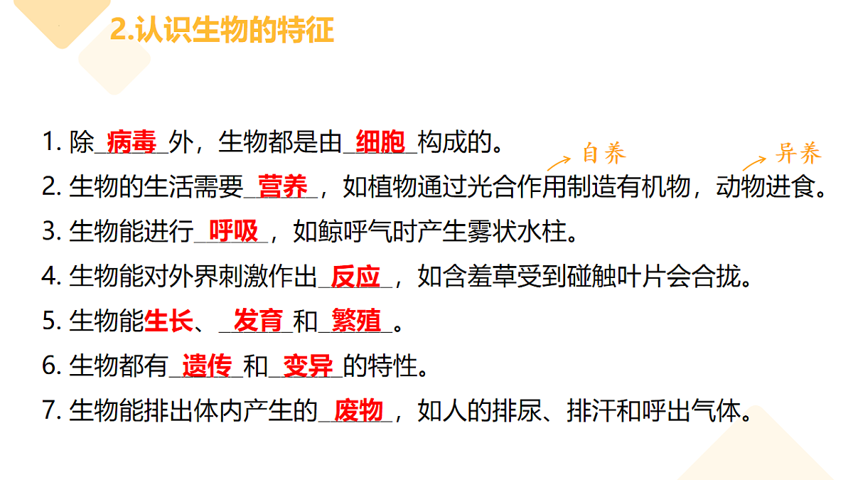 17732937第4页
