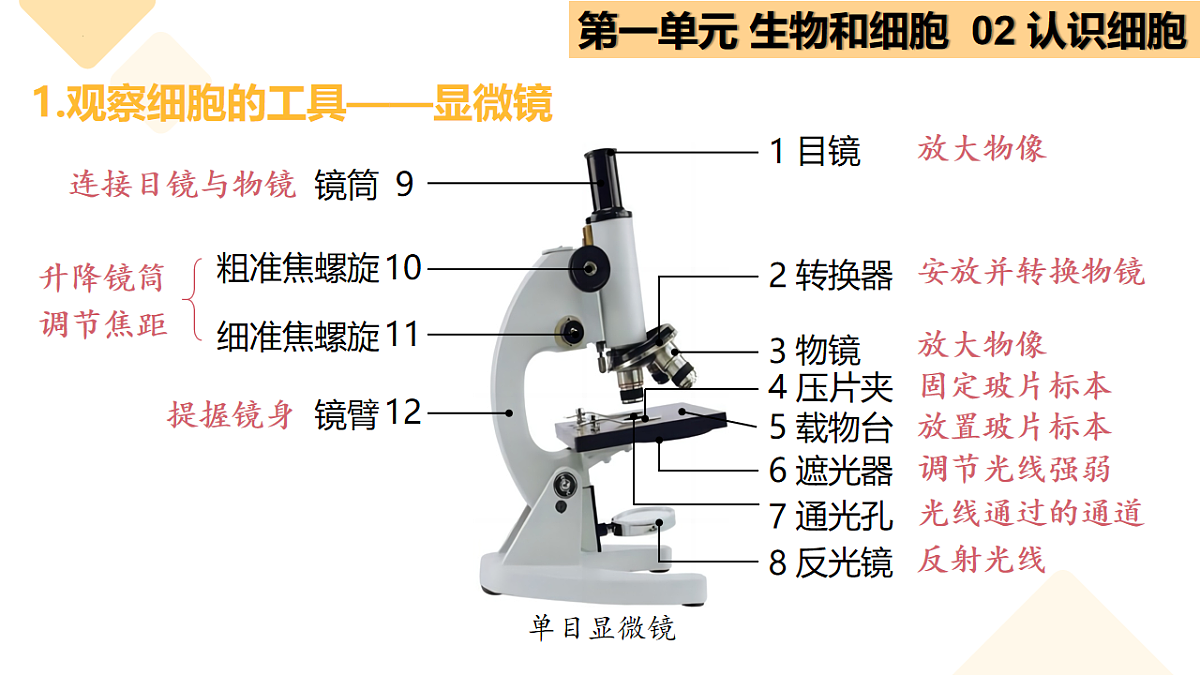 17732937第5页