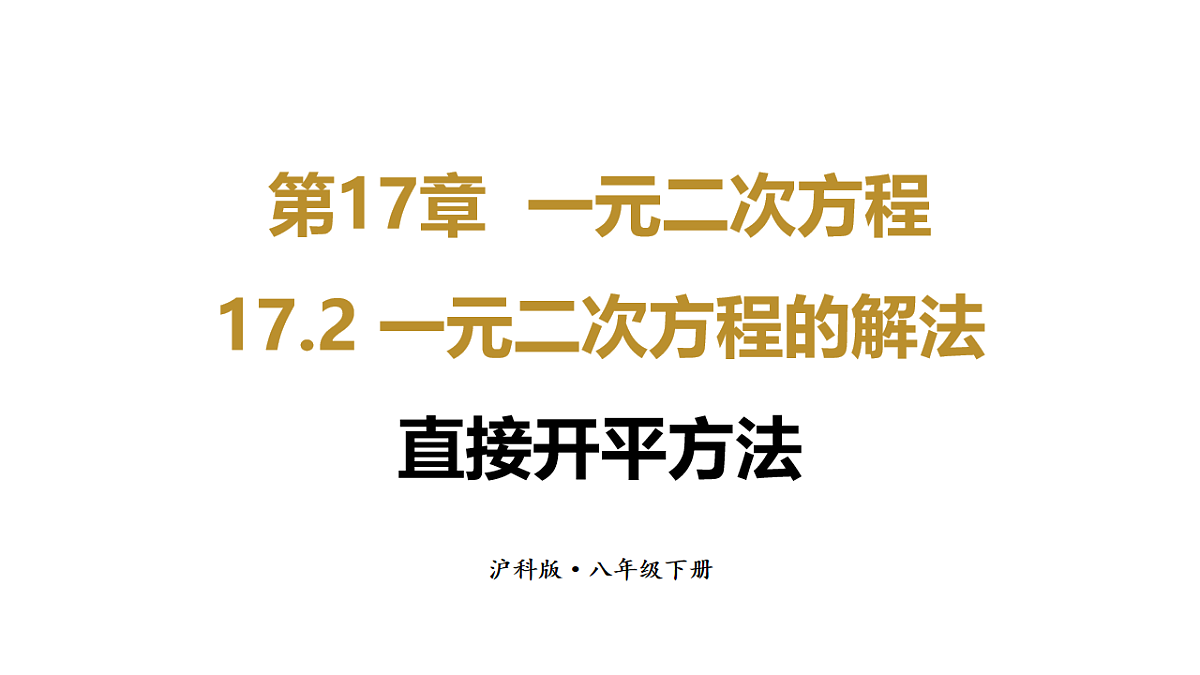 17733623第1页
