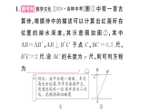 初中数学新沪科版八年级下册  18.2  专题9 勾股定理与方程思想   课后作业课件（点击显答案）（2026春）