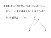 初中数学新沪科版八年级下册  18.2  专题9 勾股定理与方程思想   课后作业课件（点击显答案）（2026春）