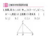 初中数学新沪科版八年级下册  18.2  专题8 勾股定理与面积问题    课后作业课件（点击显答案）（2026春）