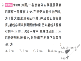 初中数学新沪科版八年级下册  18.1  第2课时 勾股定理的应用  作业课件（点出显答案）（2026春）