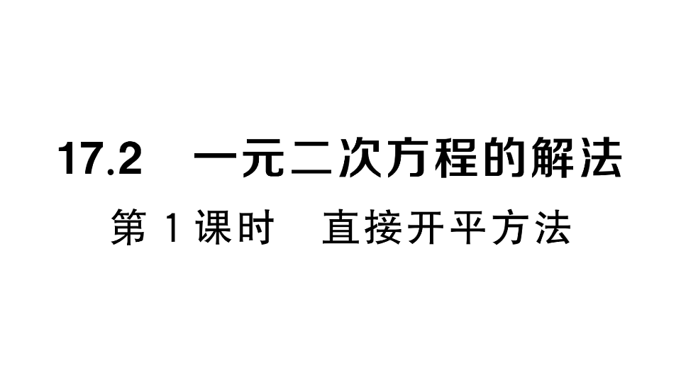 17733830第1页