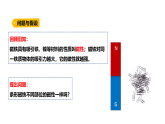 2026年大象版三年级科学下册 1.1《磁铁有两极》（课件）