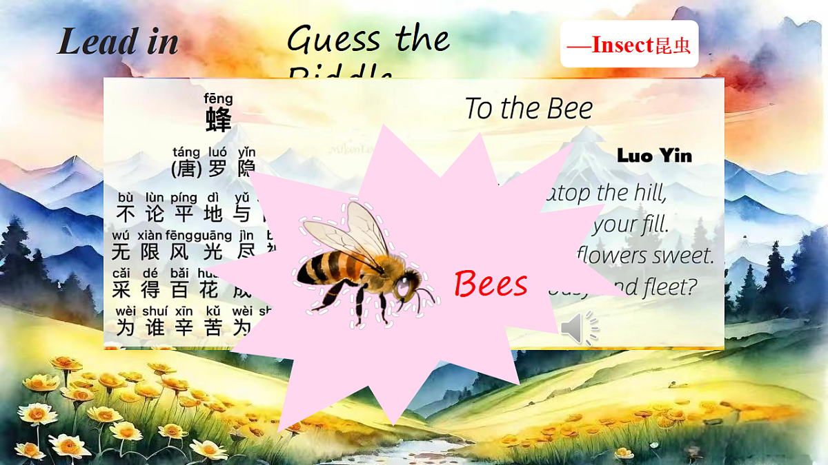 17735406第3页